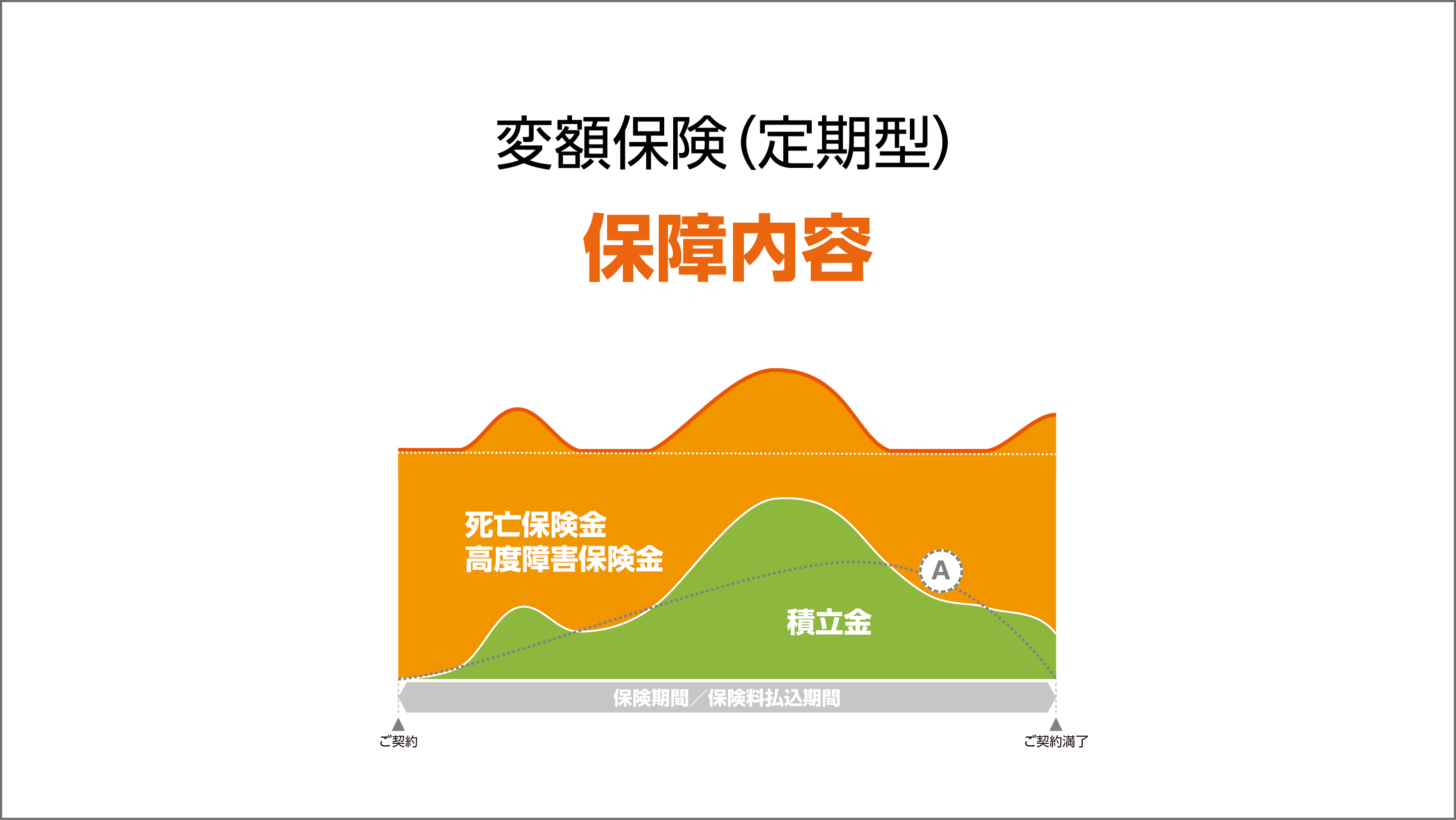 保障内容の解説動画